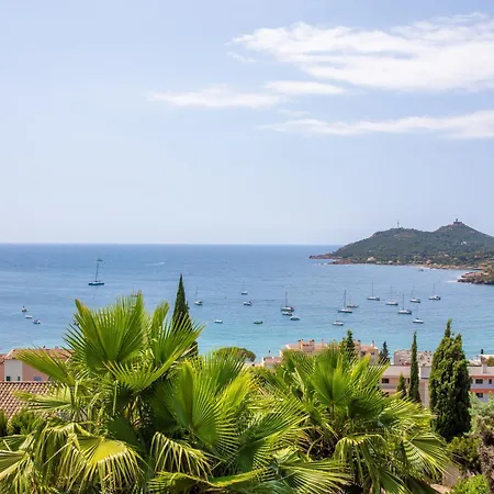 Palmeraie 公寓 Saint-Raphaël
