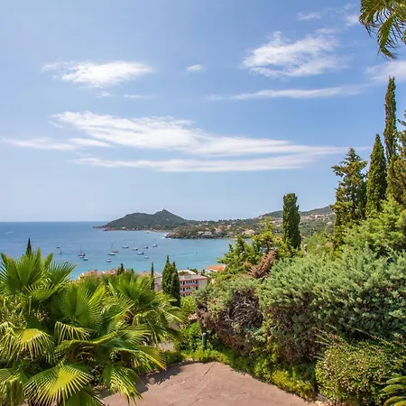 Palmeraie Saint-Raphael (Var)
